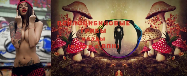 молекула духа Алзамай