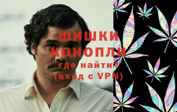 молекула духа Алзамай