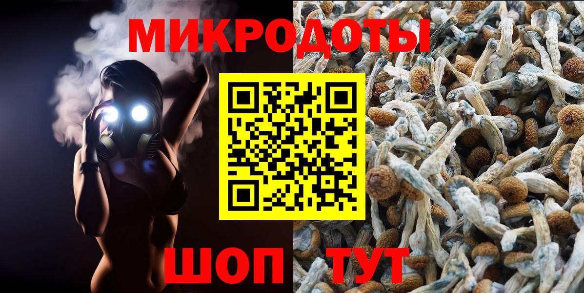 Галлюциногенные грибы прущие грибы  Псилоцибиновые грибы MAGIC MUSHROOMS  Киреевск  Вход с VPN 