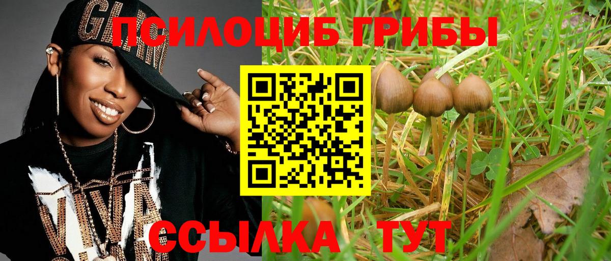 Галлюциногенные грибы Cubensis Киреевск